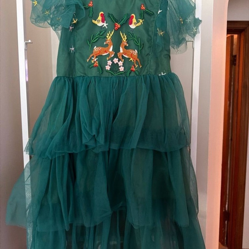 Green Embroidered Tulle Tiered Holiday Dress- Kids 4/5